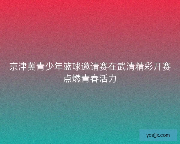 京津冀青少年篮球邀请赛在武清精彩开赛点燃青春活力