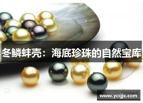 冬鳞蚌壳：海底珍珠的自然宝库